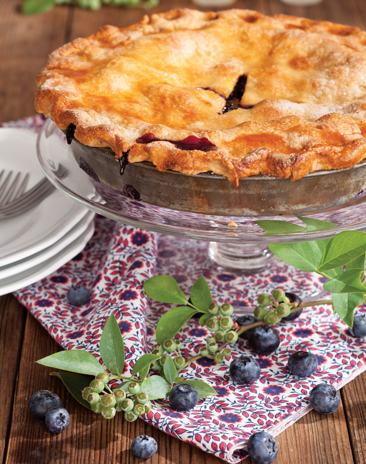 Blue Ribbon Blueberry Pie