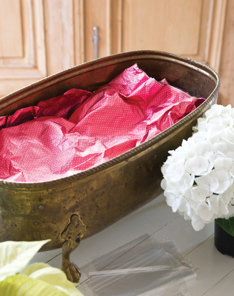 Holiday Blooms: Create a Living Centerpiece