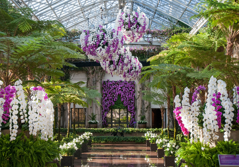 Planning Your Bliss March 2017