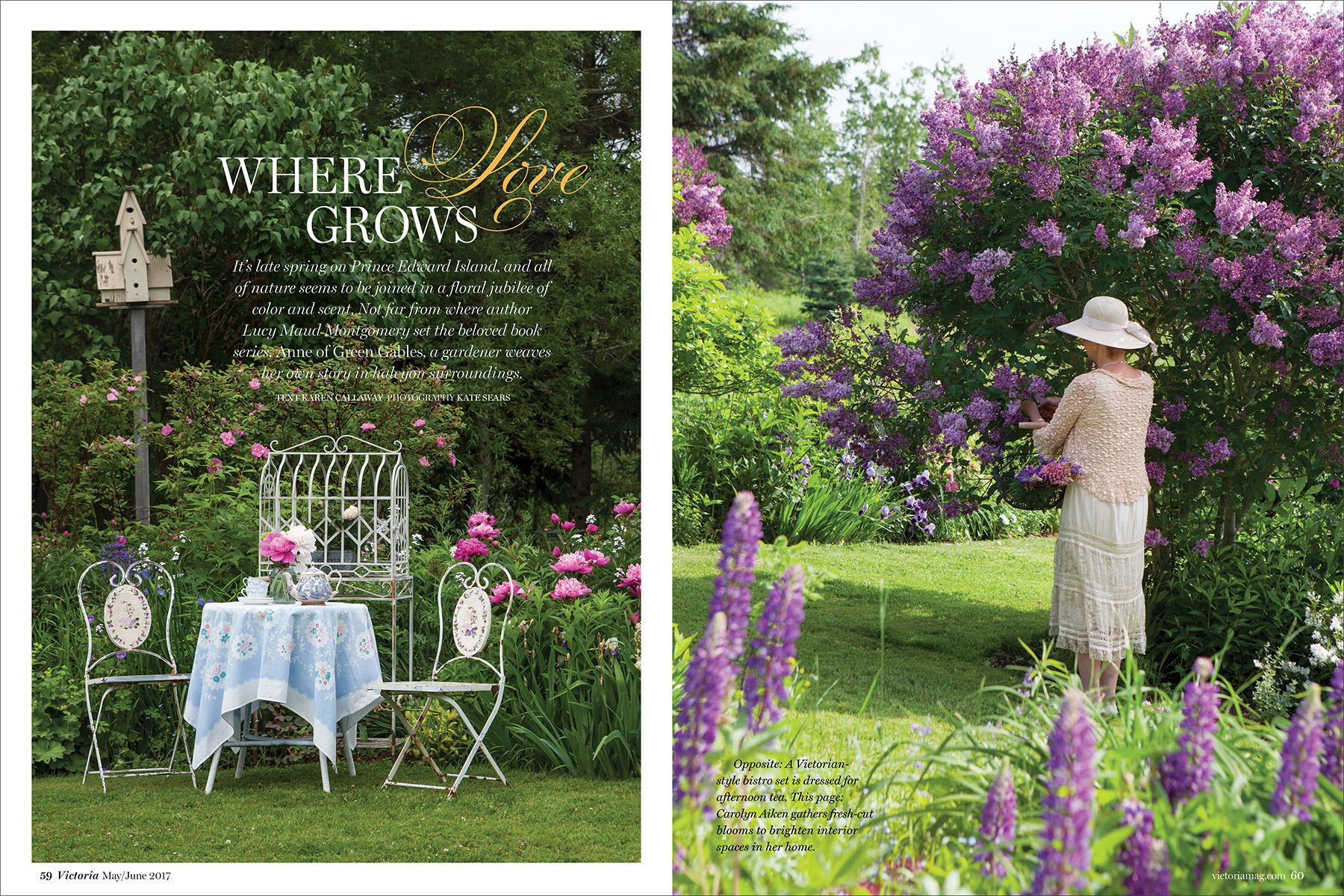 The French Issue: Preview May/June 2017 