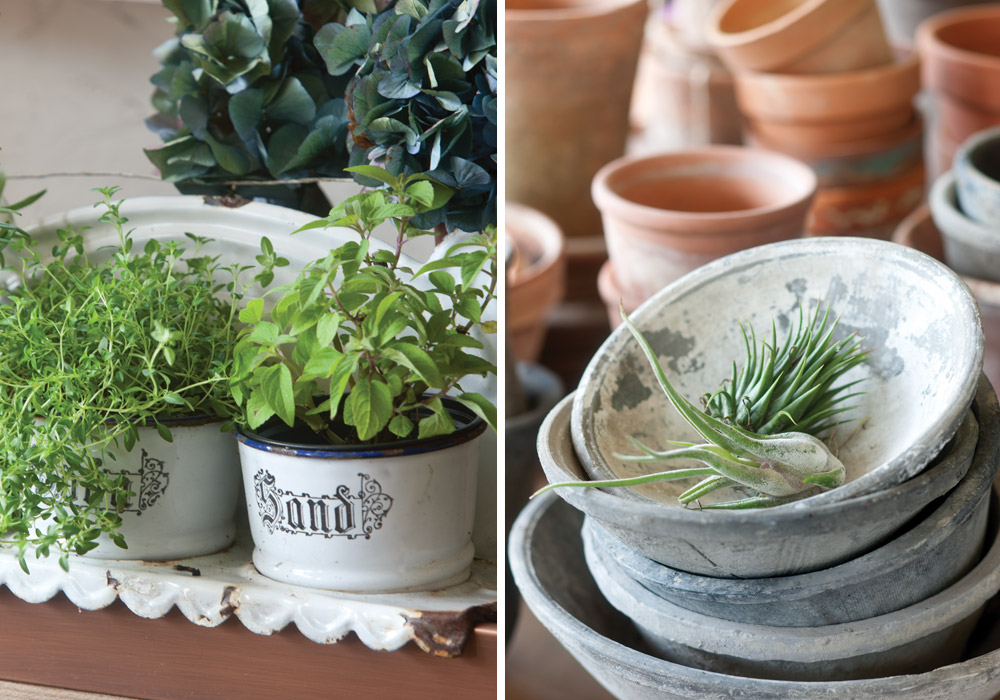 Gardener’s Delight