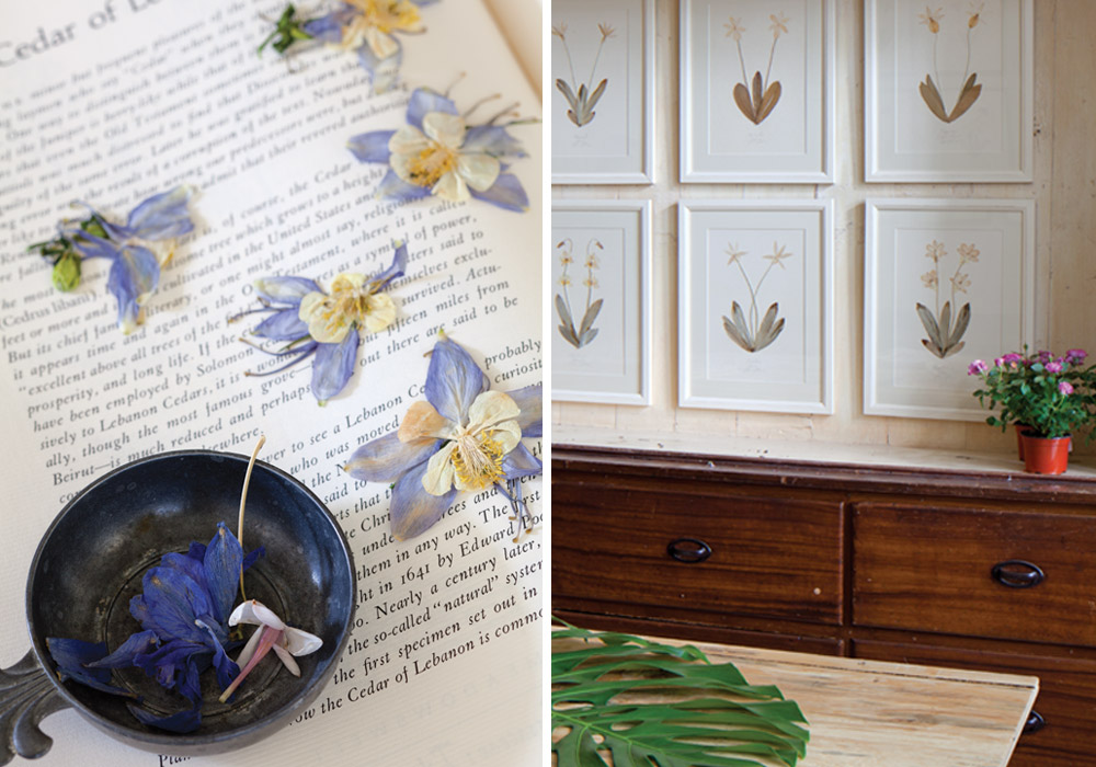 Pressed and Preserved