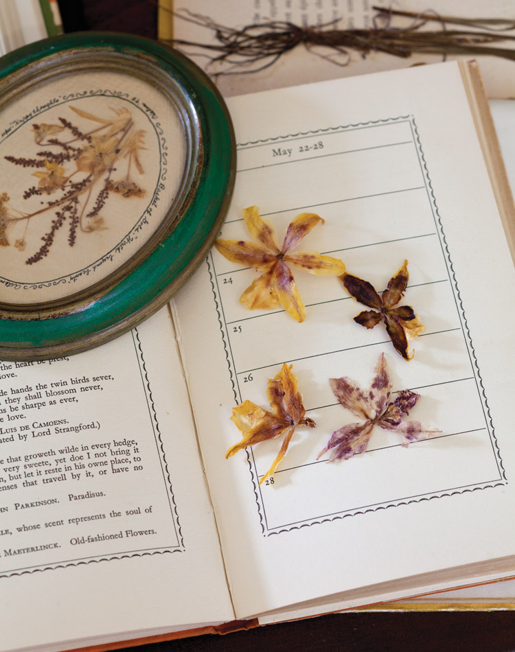 Pressed and Preserved