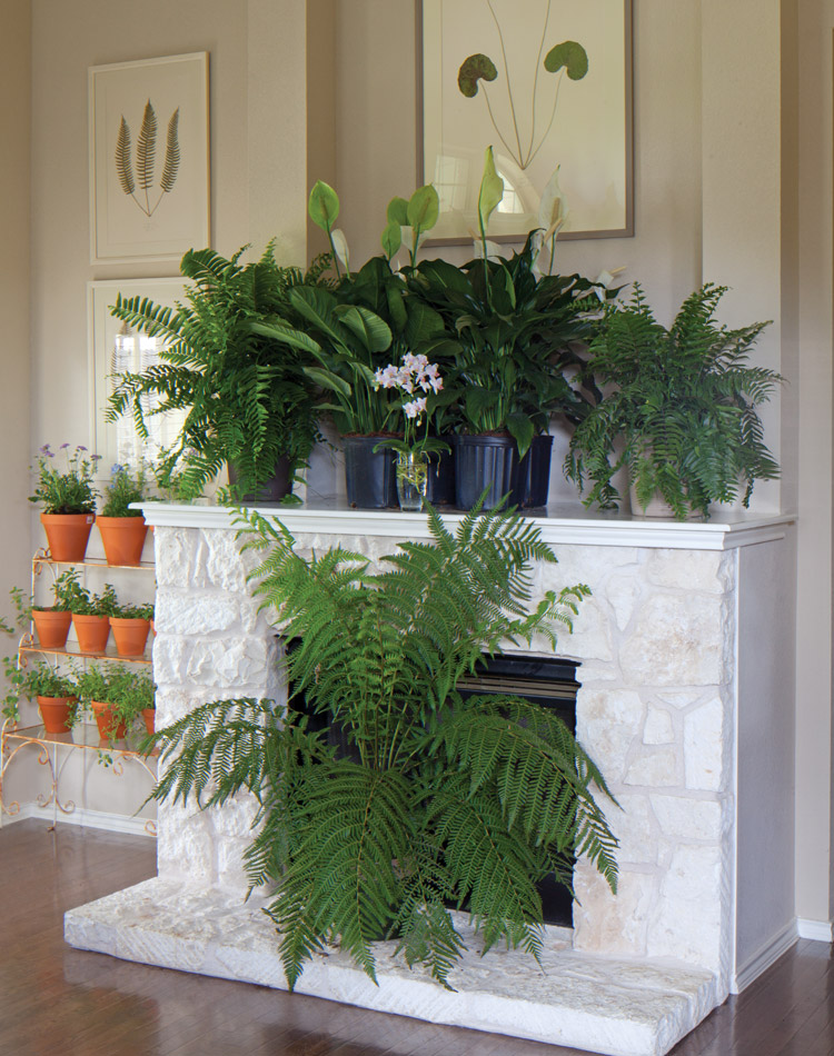 Pressed and Preserved