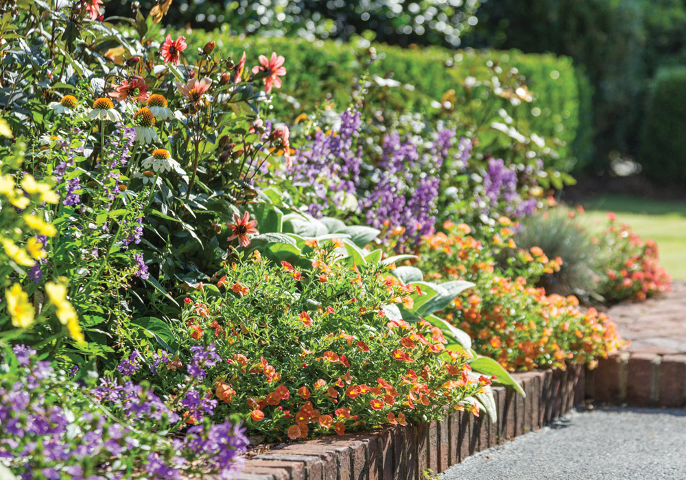 The Summer Sanctuary