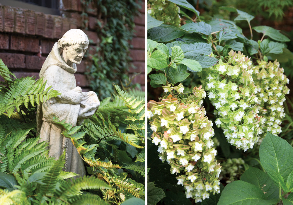 The Summer Sanctuary