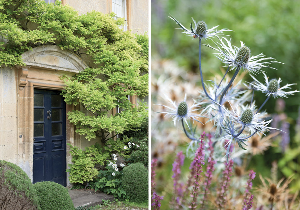 Enclaves of English and Italian Beauty