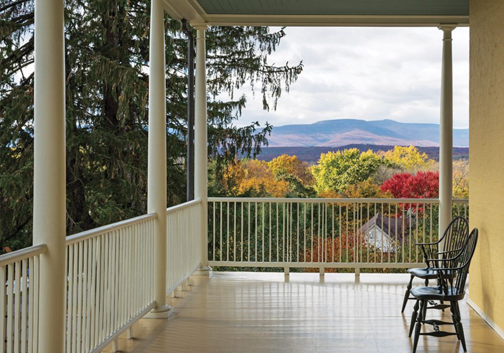 Capturing Beauty with Brushstrokes