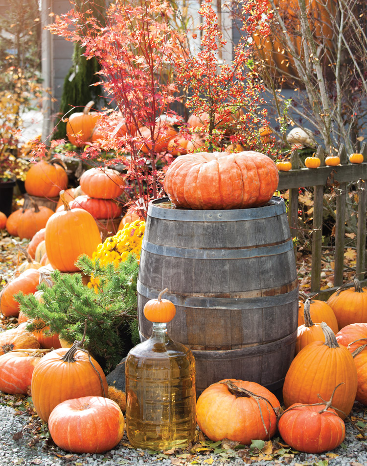 The Autumn Issue: An October 2017 Preview