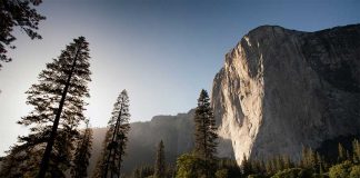 Forbidden Realm by Diana Cosby