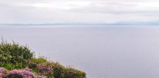 The Gilded Newport Mystery Series by Alyssa Maxwell