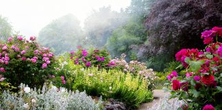 EnglishGarden_FeatureImage