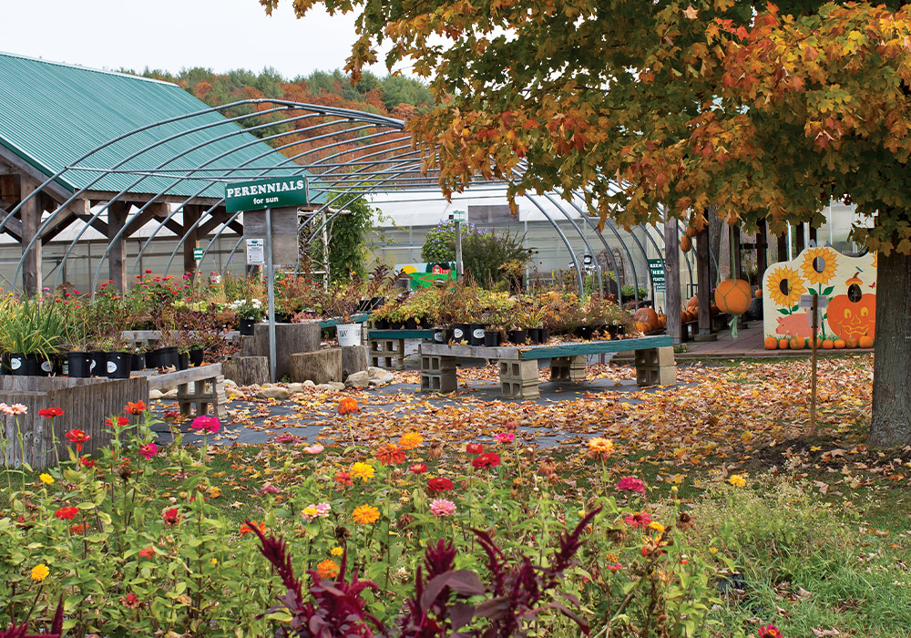 Flowers and oak tree surround an outdoor plant nursery, with plants and pumpkins on wooden platforms.