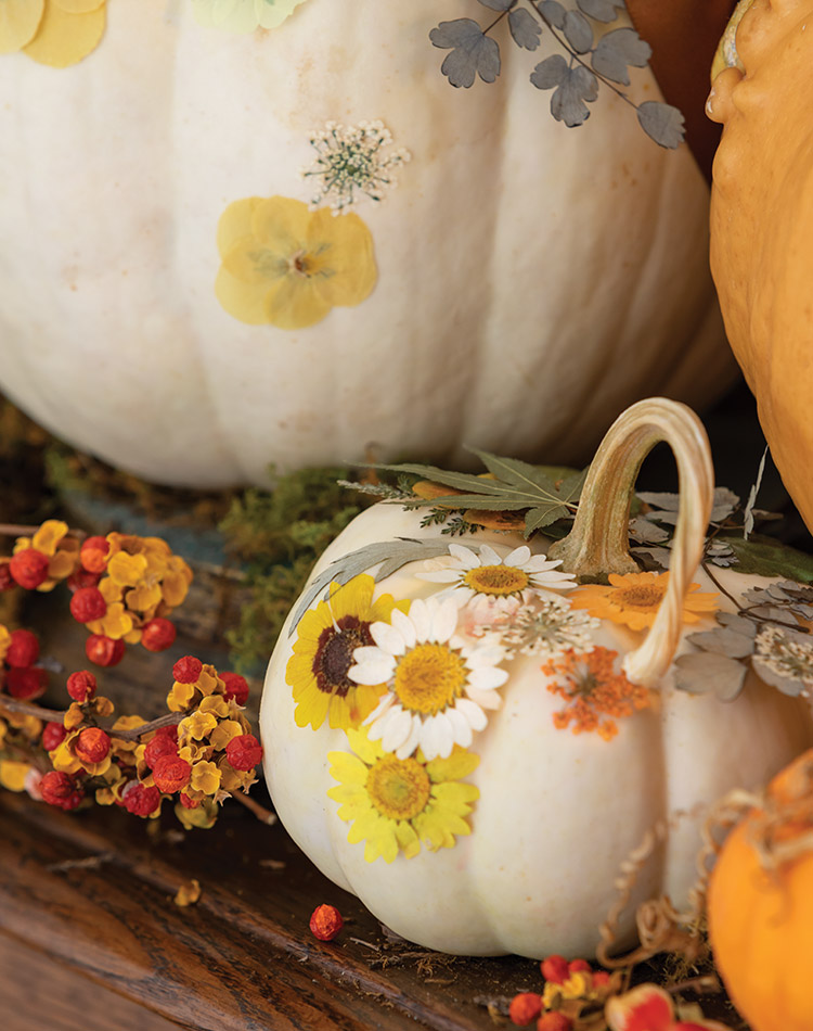 Pristine white pumpkins take on new loveliness when kissed with dried flowers and fern fronds.