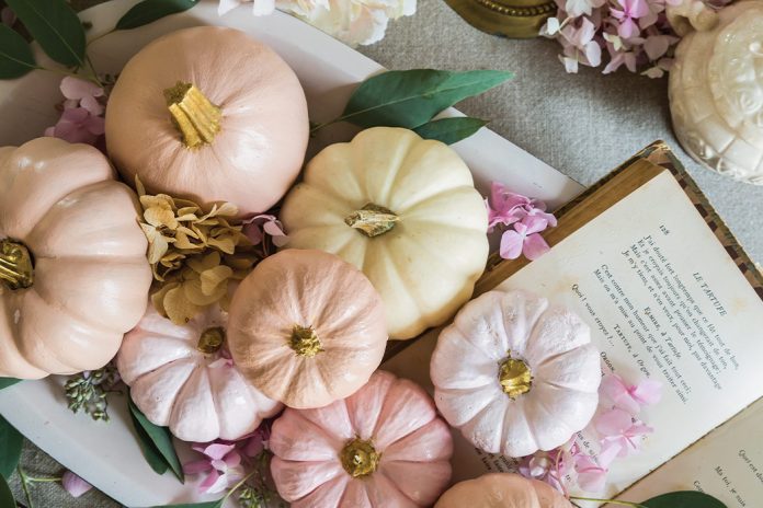 Autumn Romance: Pastel Pumpkins. Viewed from above, a tray full of pale pink pumpkins graces the tabletop.