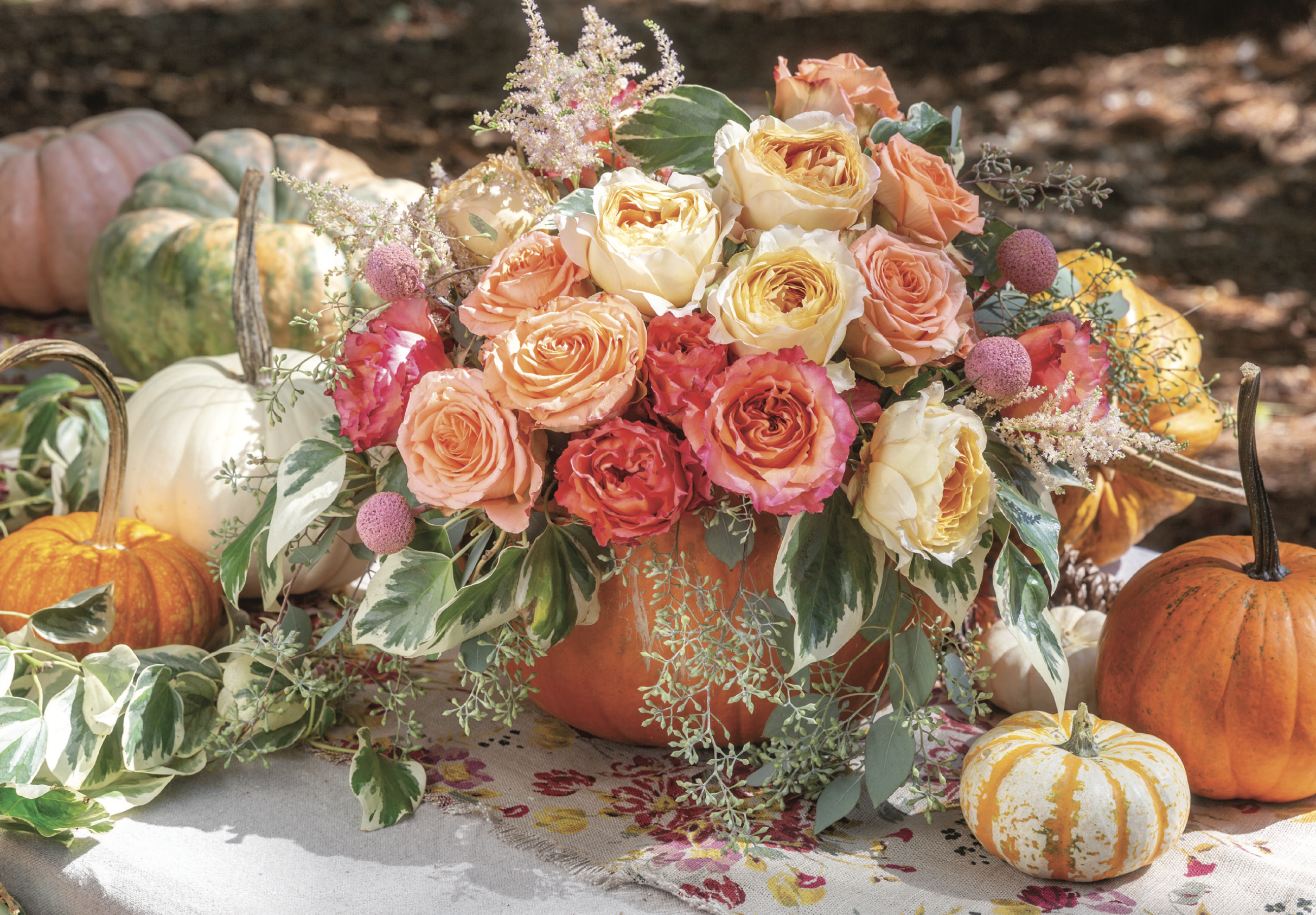 A pumpkin filled with an abundance of roses, surrounded by pumpkins.