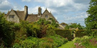 Lady Rogue by Theresa Romain