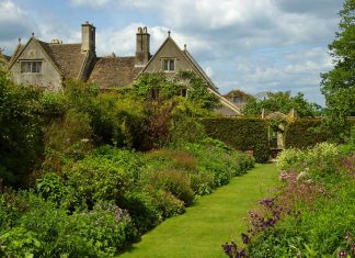 Lady Rogue by Theresa Romain