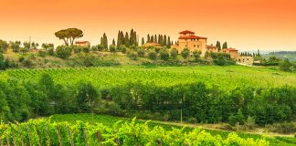 SingularSinclair_FeatureImage