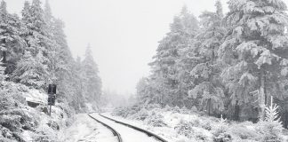 We Shall See the Sky Sparkling By Susanna Aikin