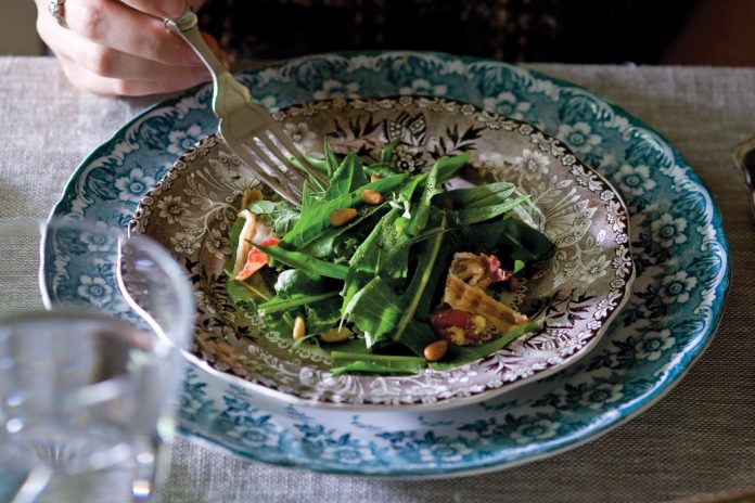 Dandelion-Green-Salad-Recipe