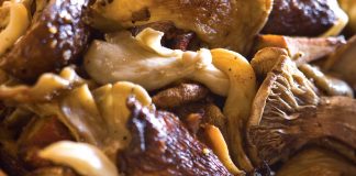 Pan-Seared-WIld-Mushrooms-Recipe