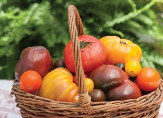 Heirloom Tomatoes Victoria magazine