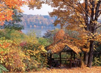 Autumn Victoria magazine