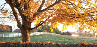 Shaker Village of Pleasant Hill