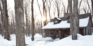 Sucrerie de la Montagne