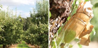 Clear Creek Distillery