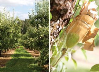 Clear Creek Distillery