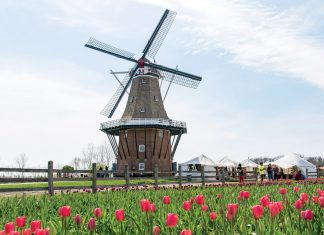 Tulip Time