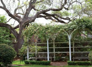 Charleston Gardens Tour