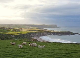 Ireland
