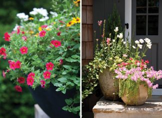 Container Gardening
