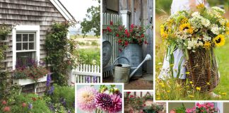 Inspired Style Summer Flowers