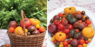 Tomatoes - Victoria Magazine