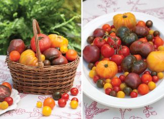 Tomatoes - Victoria Magazine