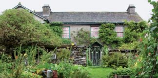 Beatrix Potter Summer Fare