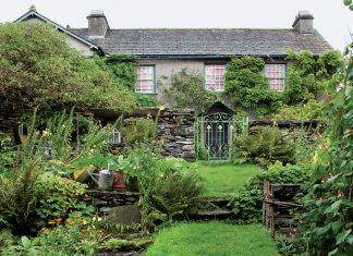 Beatrix Potter Summer Fare