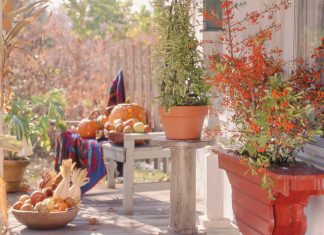 autumn porch
