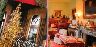 Book Review Christmas