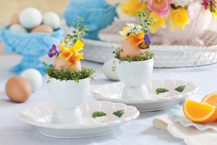 Victoria March/April 2016 Issue