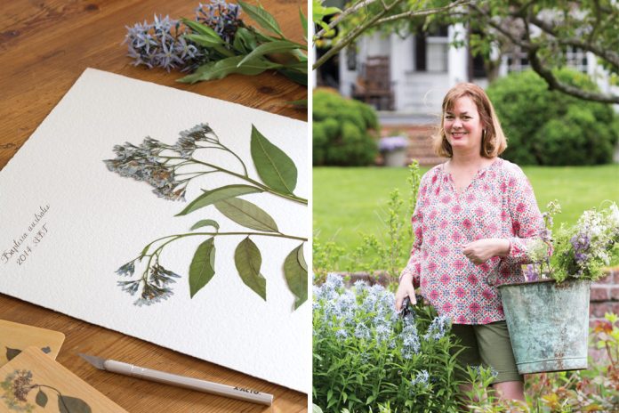 Anne Blackwell Thompson