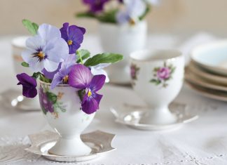 Eggcups