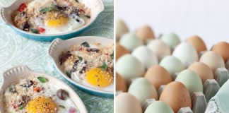 Egg Recipes