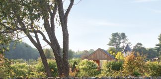 Fields of Dreams: Blackrock Farm