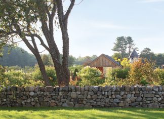 Fields of Dreams: Blackrock Farm