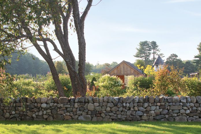 Fields of Dreams: Blackrock Farm